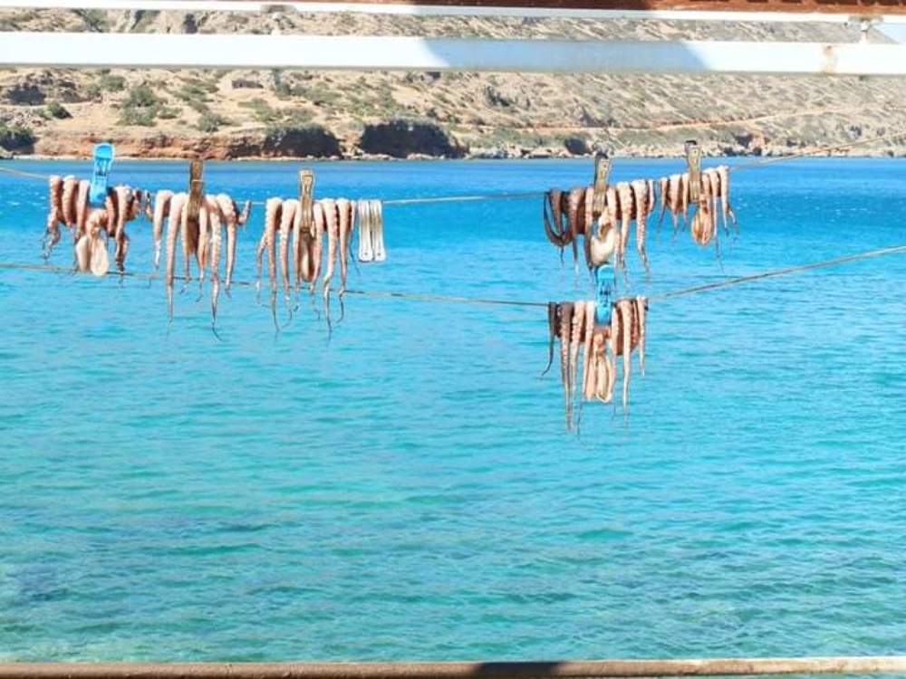 Photograph by Mónica Silva