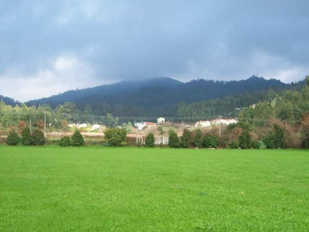 Photograph by Mónica Silva