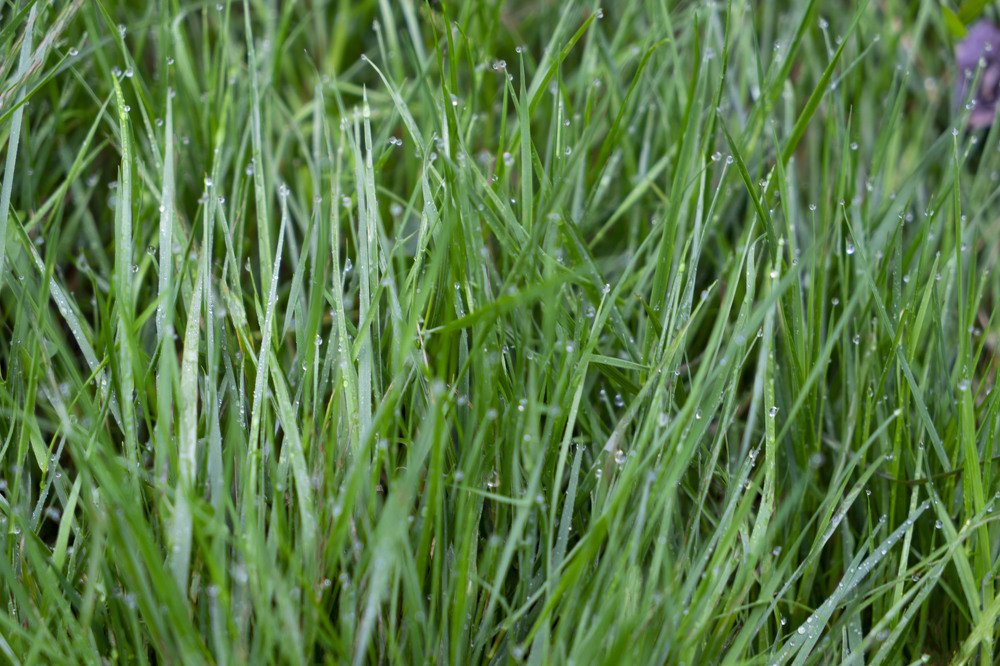 Фотография автора Ирина Зайцева