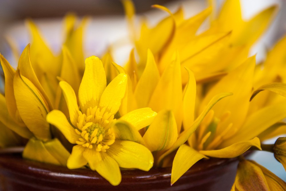 Фотография автора Валерий Елистратов