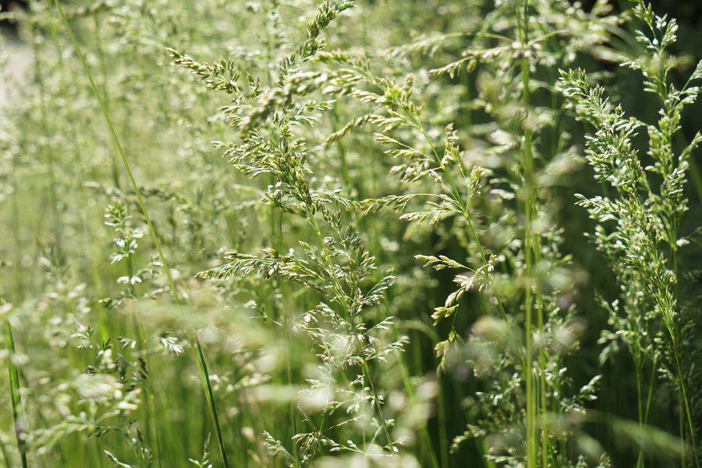 Фотография автора Ирина Зайцева