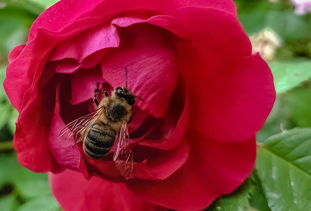 Photograph by mikhail goryachev