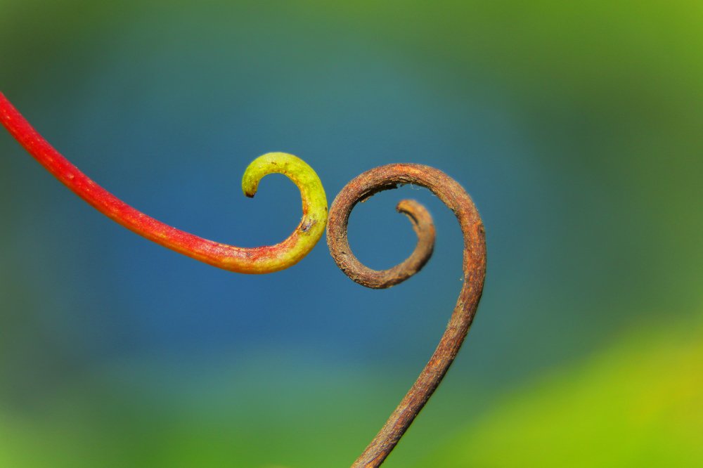 Photograph by Александр Шаварёв