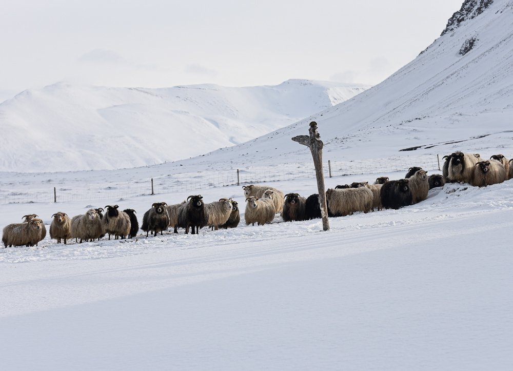 Фотография автора Gabriela Bonilla