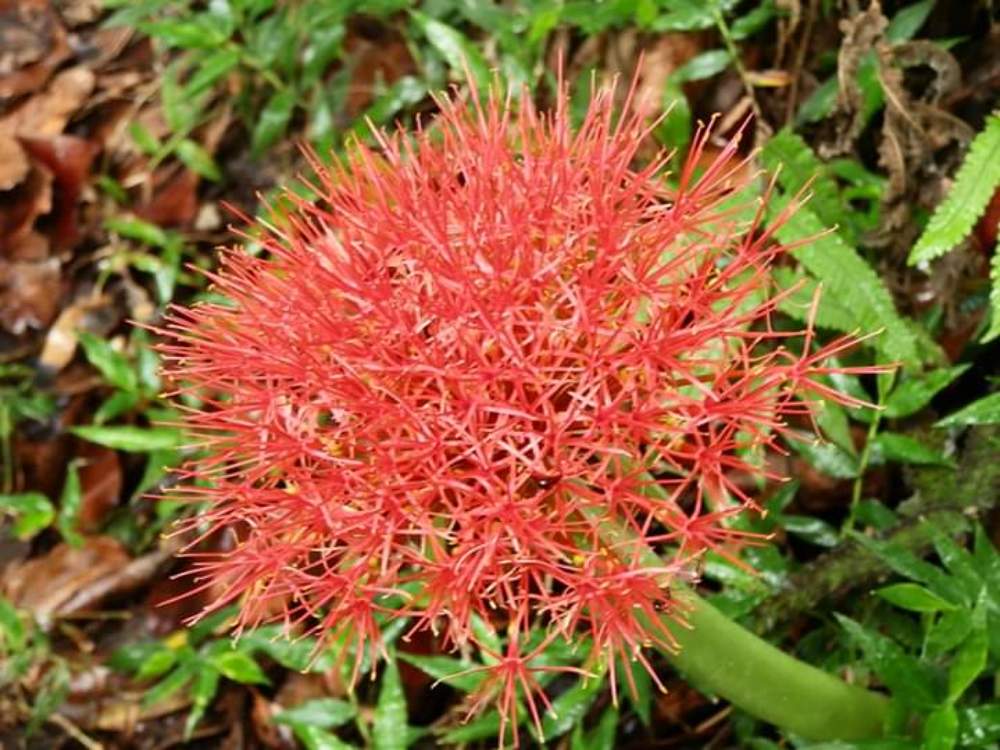 Photograph by Mónica Silva