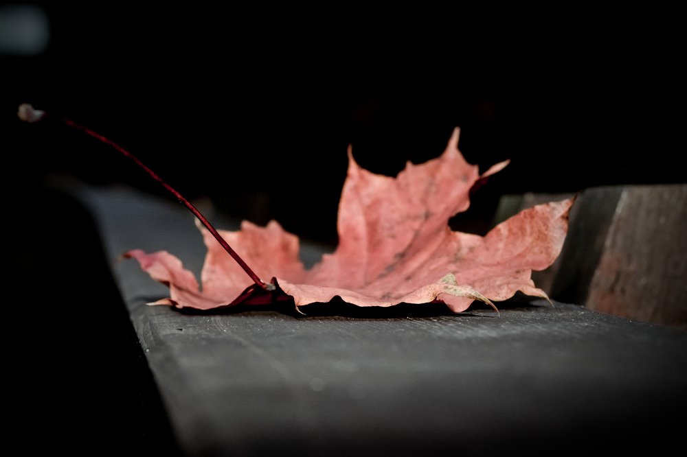 Photograph by Szilveszter Zoltan