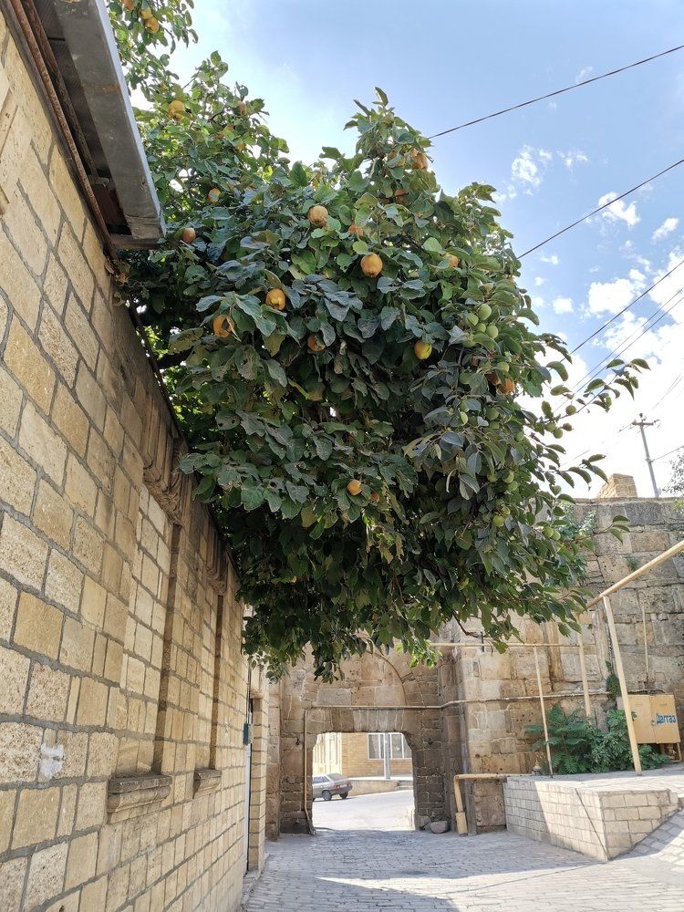 Photograph by Екатерина Половникова