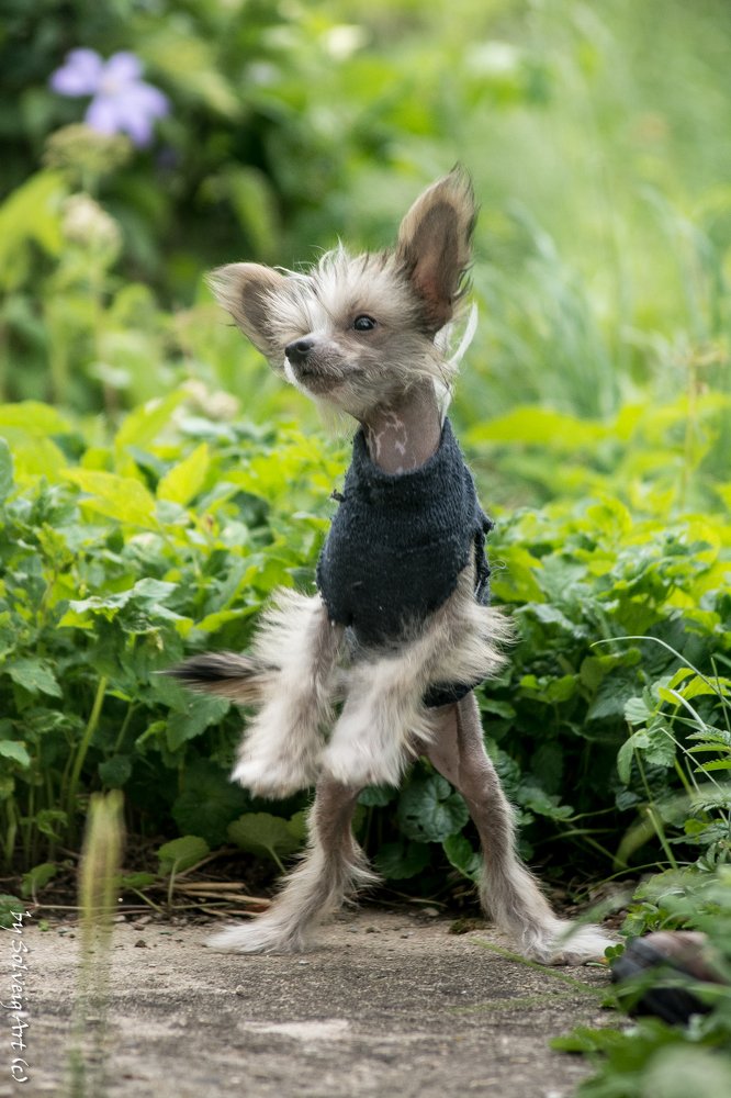 Фотография автора Ксения Петрова