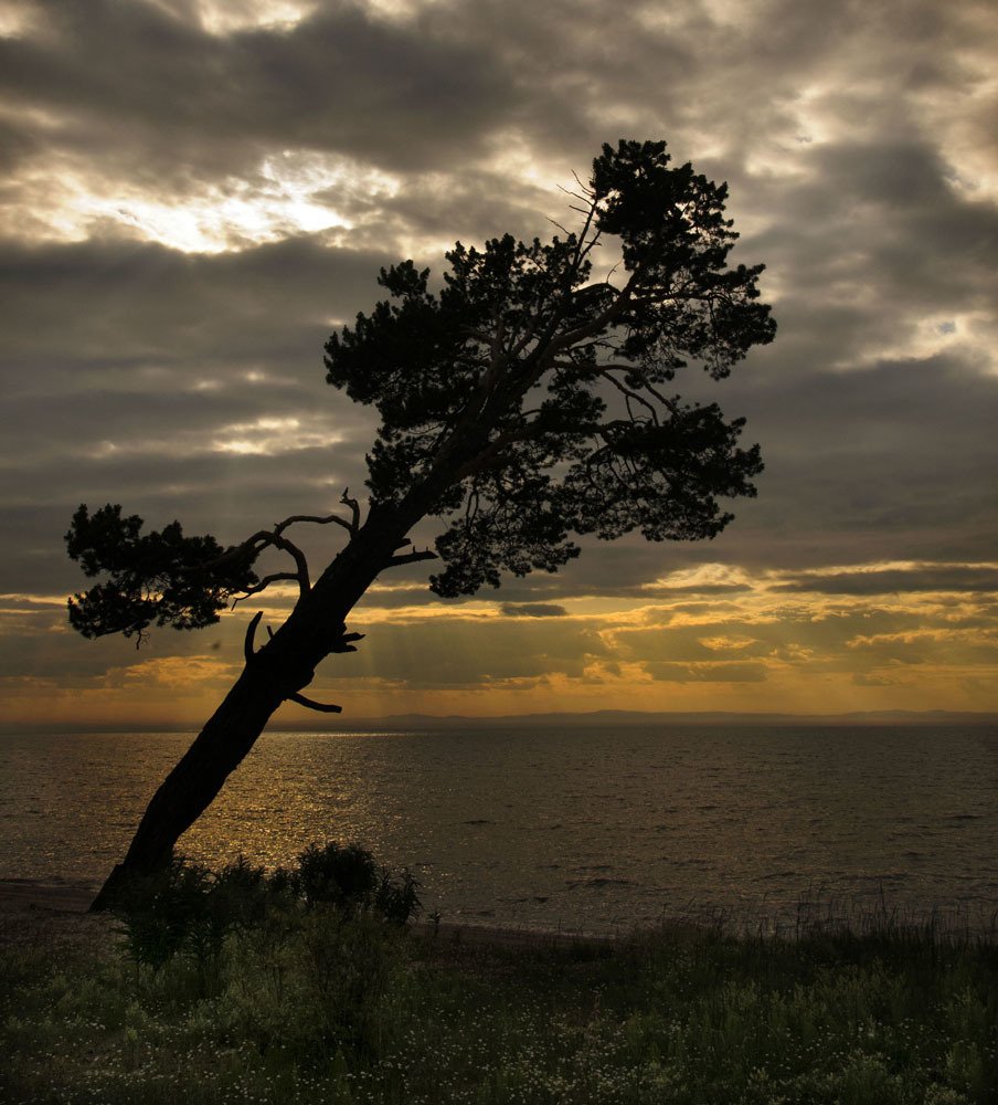 Photograph by Андрей Бойко