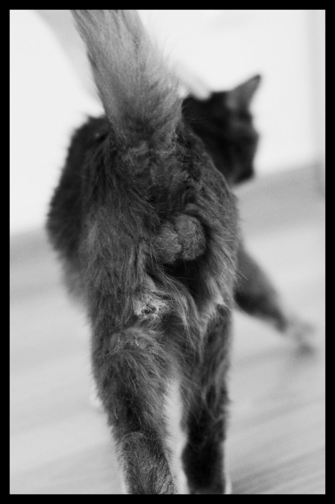 Photograph by Юрий Никандров