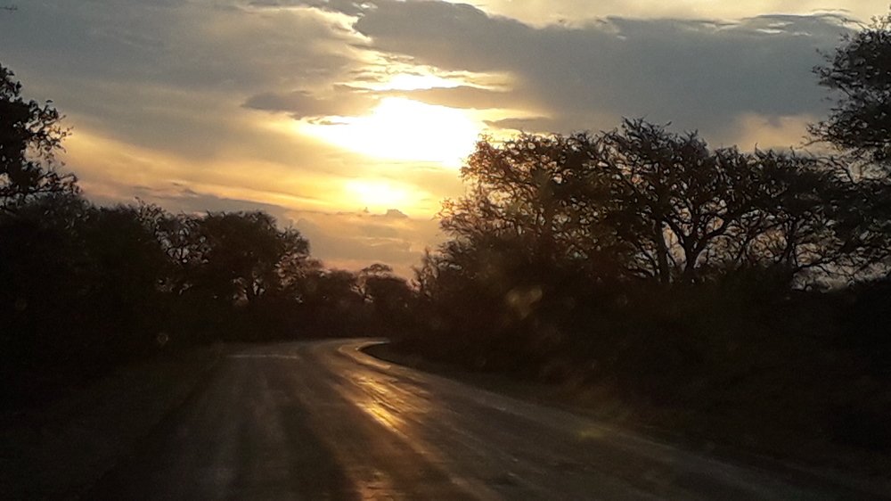 Photograph by Mónica Silva