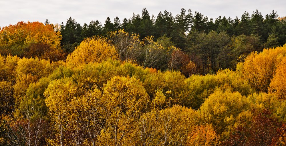 Photograph by Антон Литвин