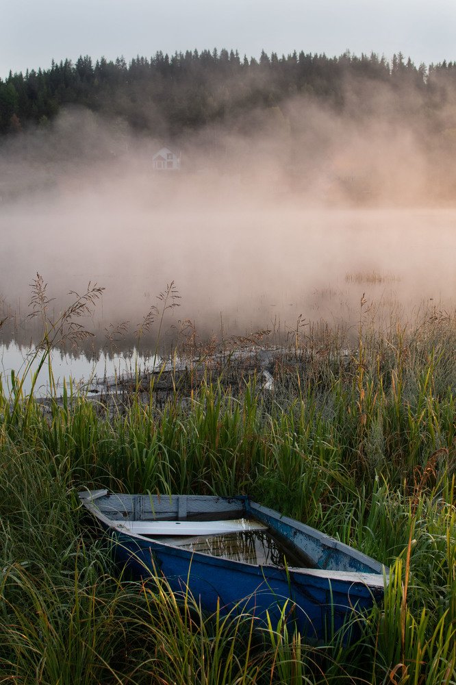 Фотография автора Александра Журович
