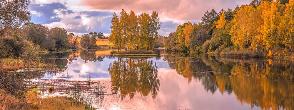Фотография автора Андрей Меньших