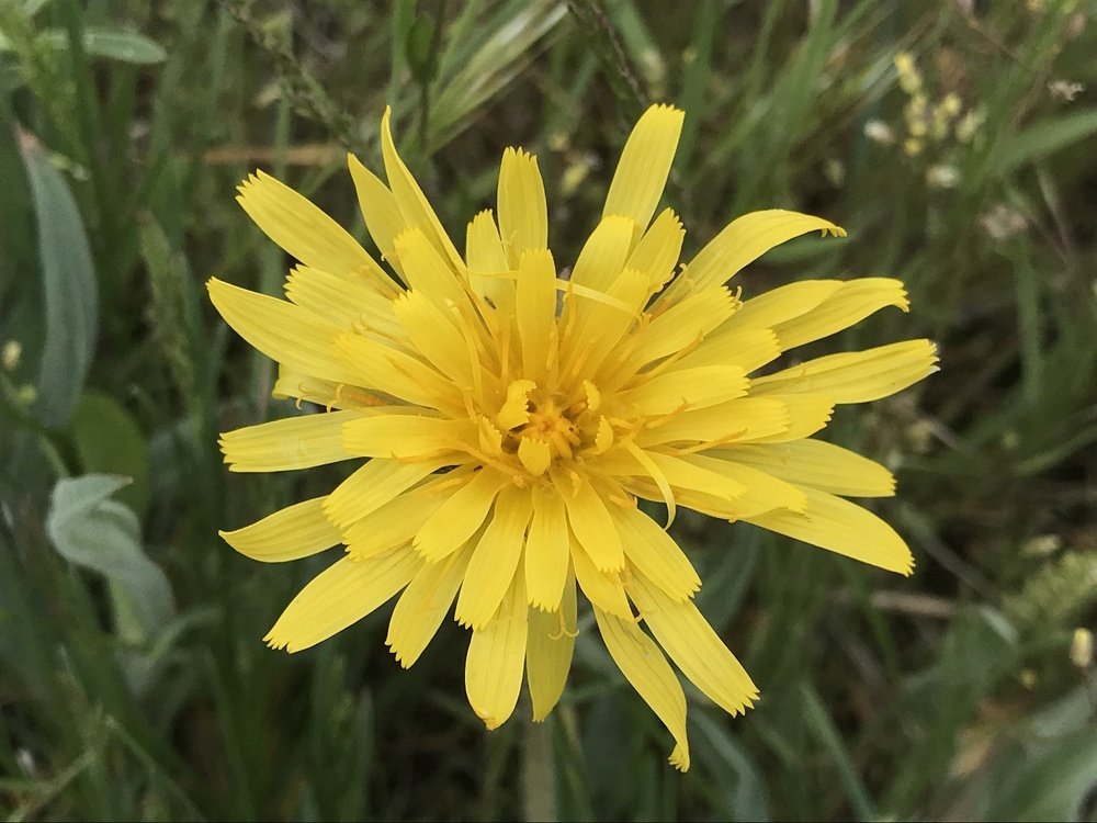 Фотография автора Connor Morrow