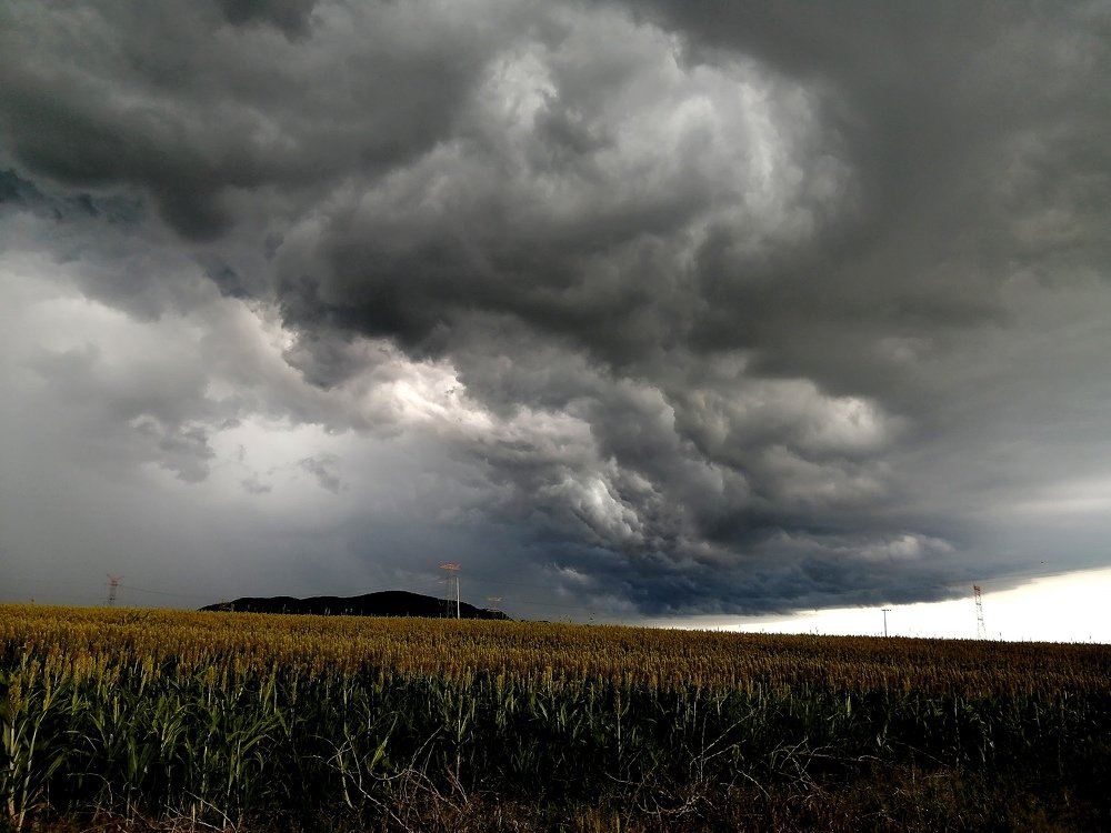 Photograph by Jaime Manuel Trejo Luongo