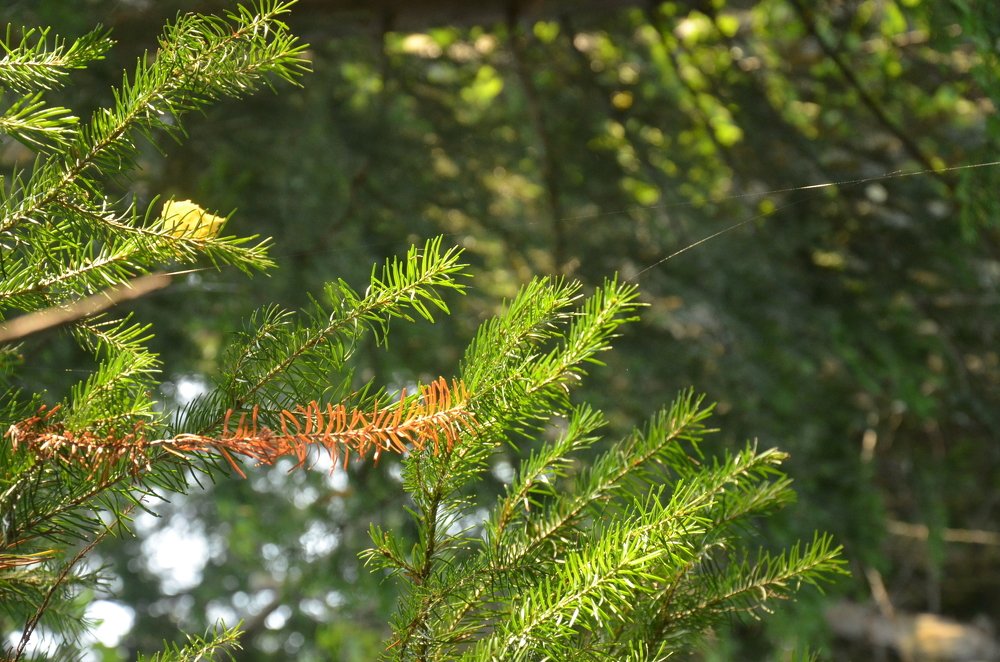 Photograph by Valentina