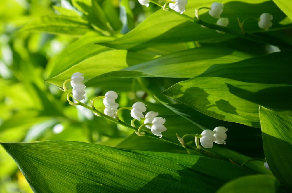 Photograph by Valentina