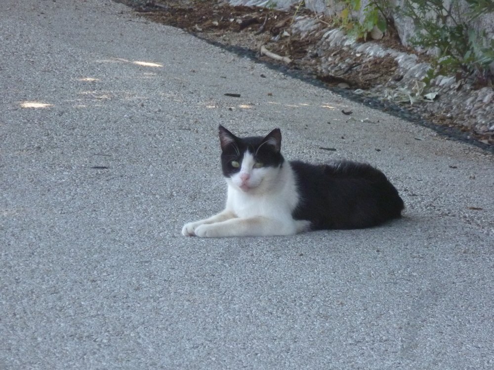 Photograph by оксана