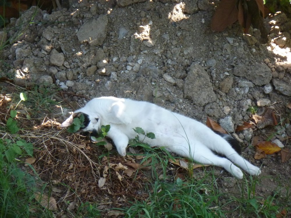 Photograph by оксана