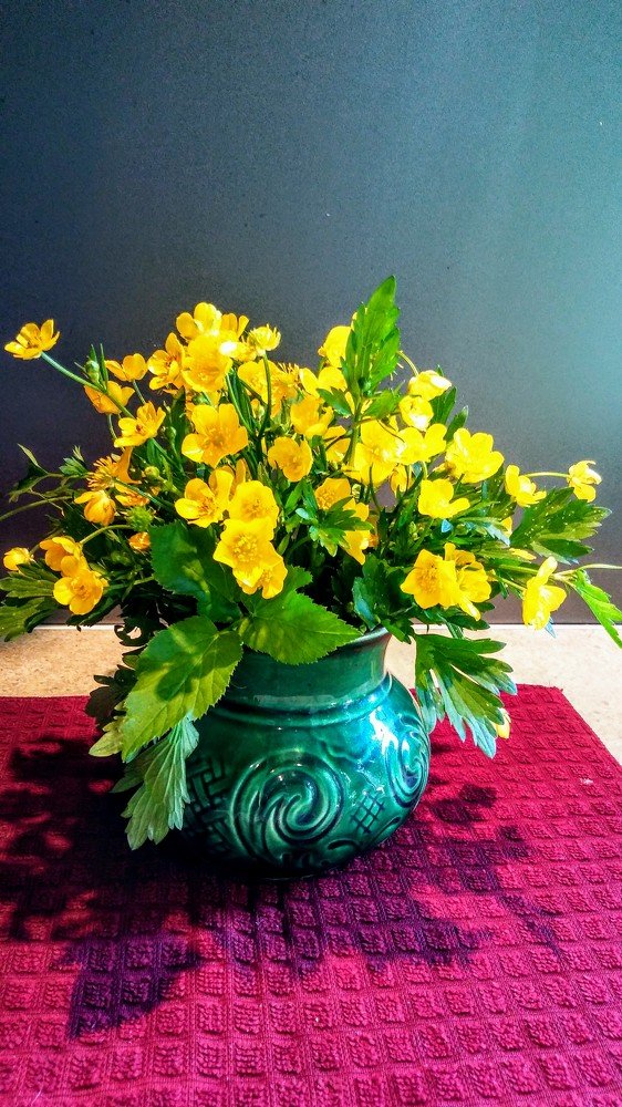 Photograph by Ольга Велитченко