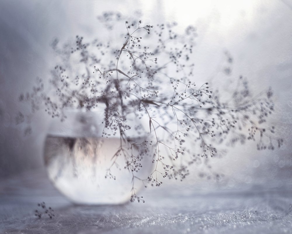 прозрачное*