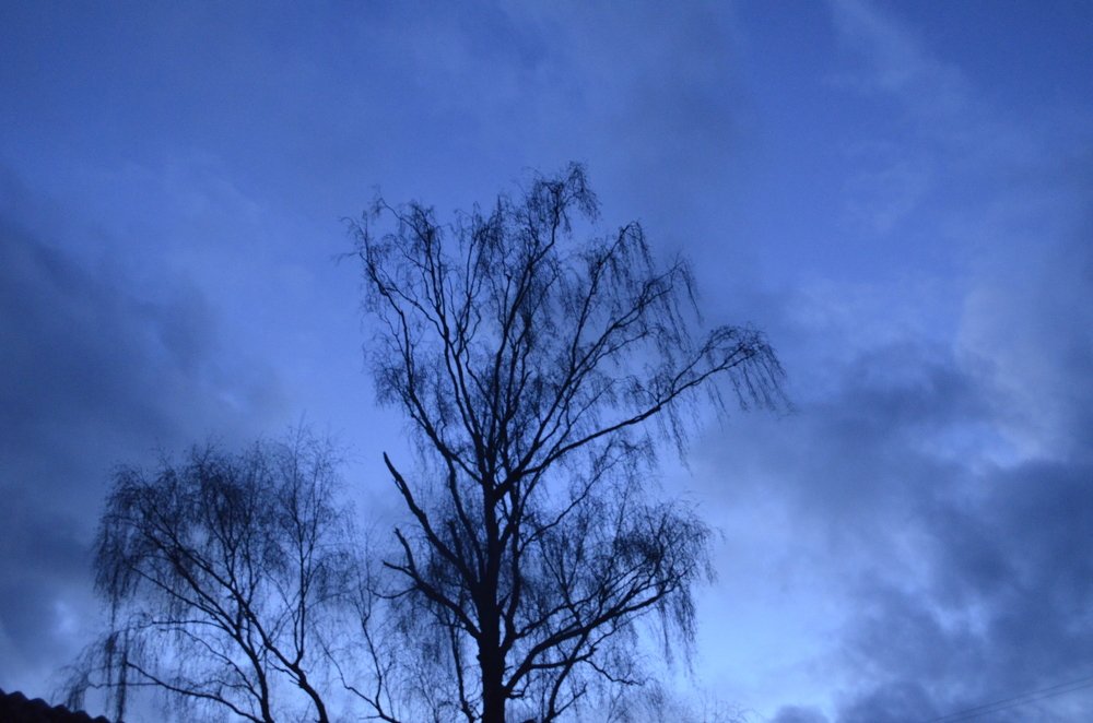 Photograph by Николай Соколовский