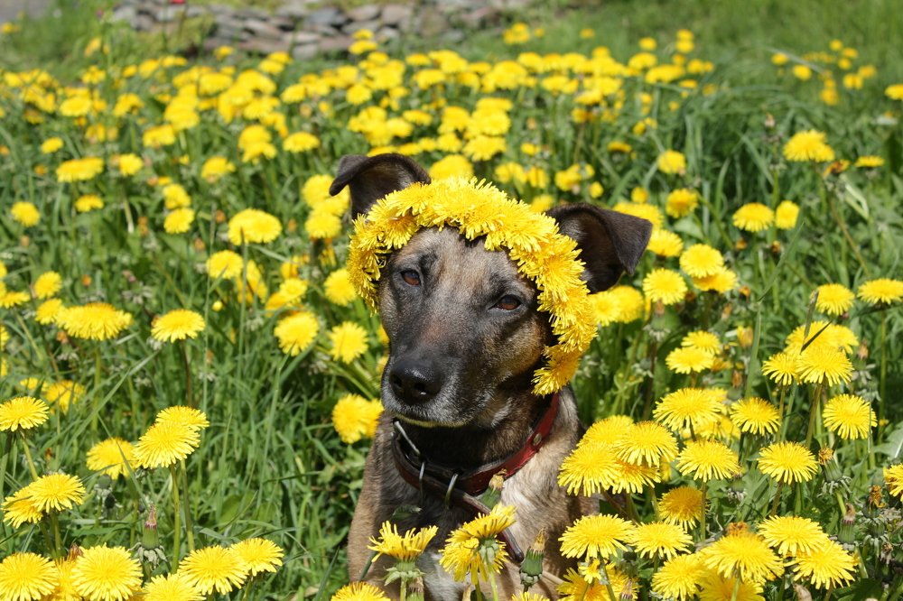 Photograph by Анна Азарёнок