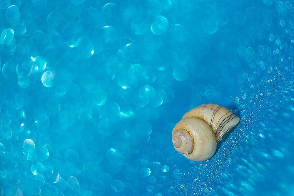 Волшебный гелиос