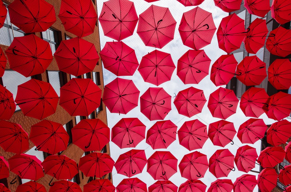 Фотография автора Юрий Макаров