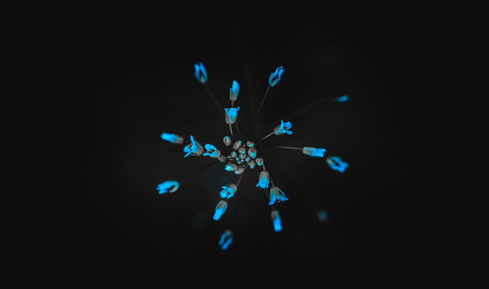 Photograph by Рут Андрей