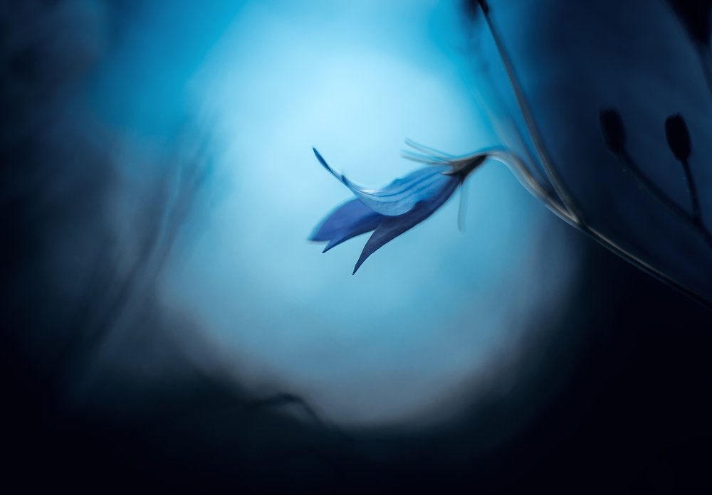 Photograph by Рут Андрей