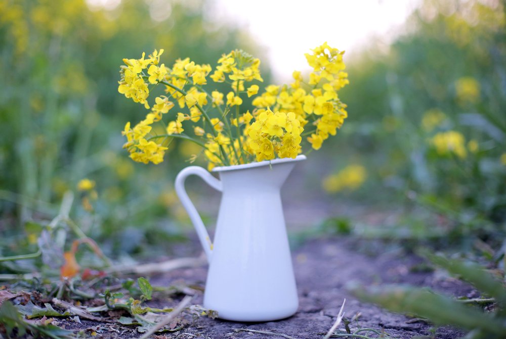 Photograph by Наталья Жалнина