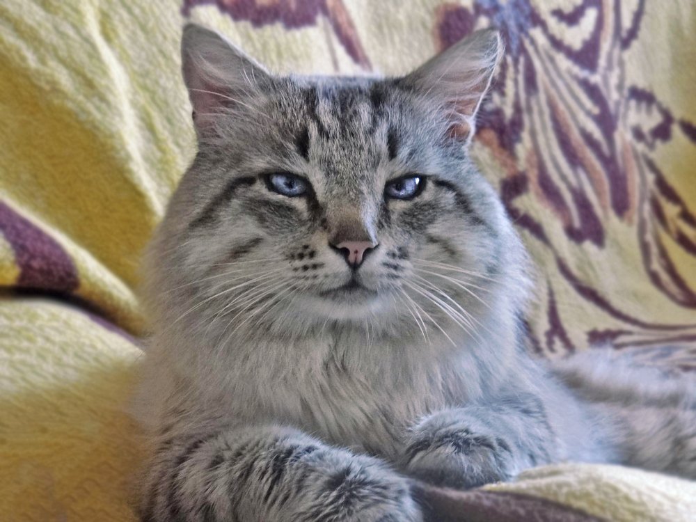 Photograph by Арина