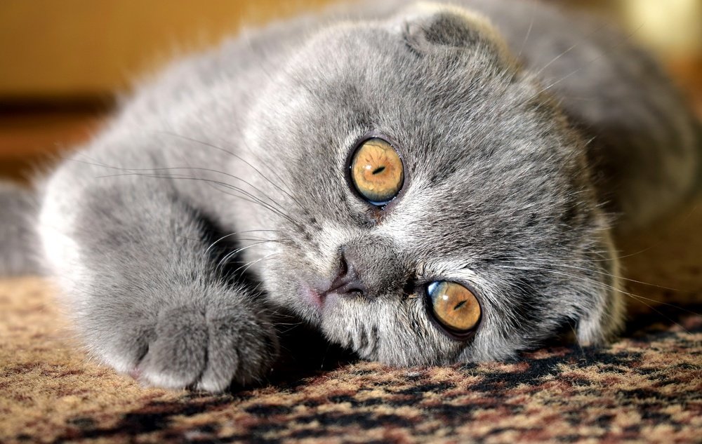 Photograph by Ларионова Татьяна