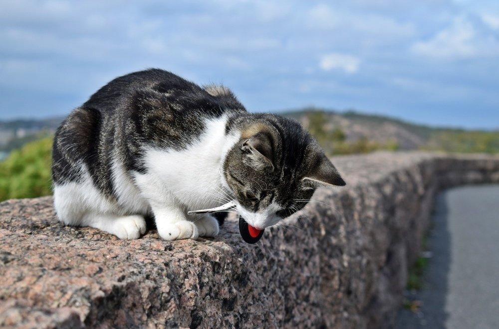 Photograph by Ларионова Татьяна