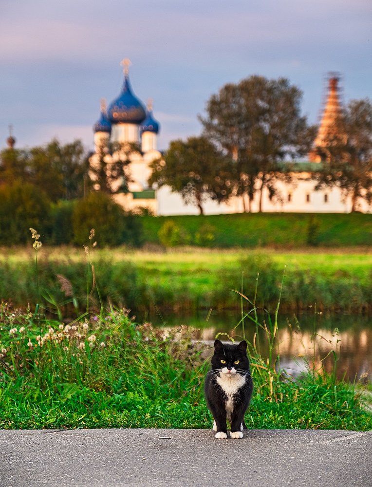Фотография автора Владимир Эделев