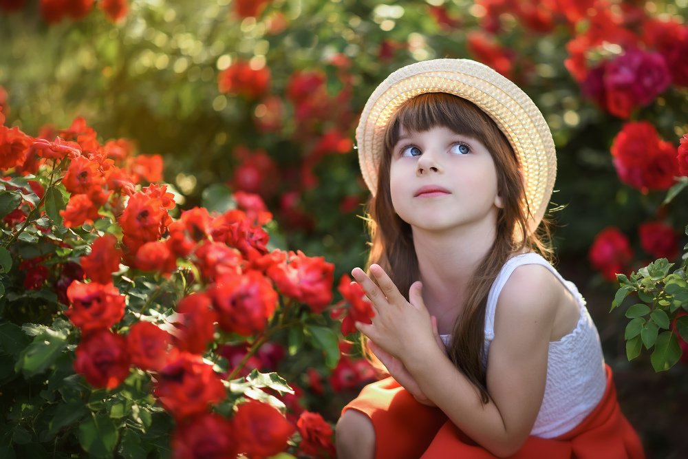 Photograph by Виктория Мейо