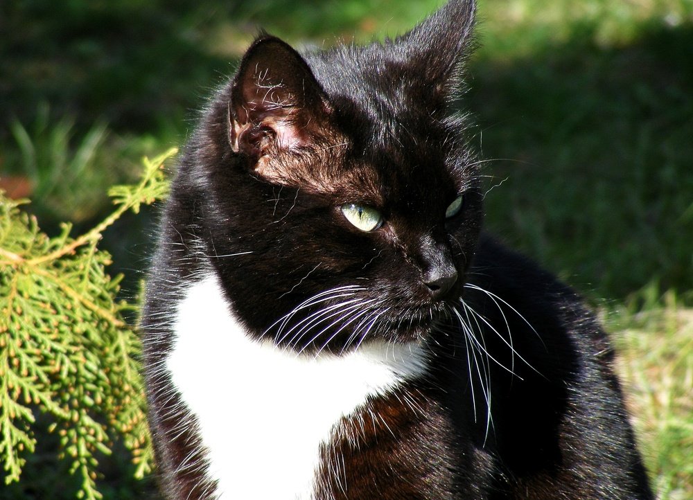 Photograph by Ларионова Татьяна