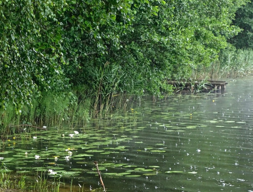 Photograph by Елена Жукова