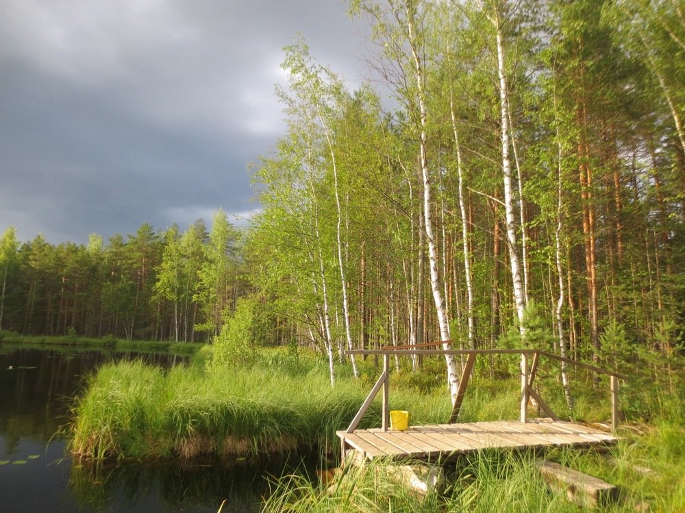 Photograph by Елена Жукова