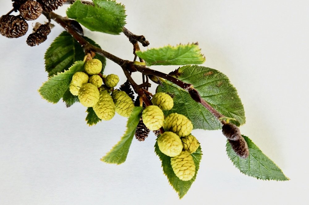 Photograph by karl geisler