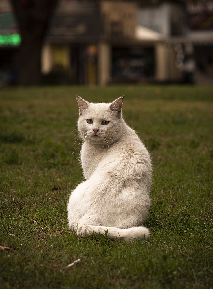 Photograph by mohammad saberi