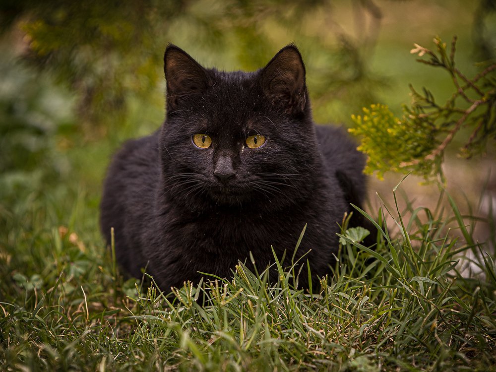 Photograph by mohammad saberi