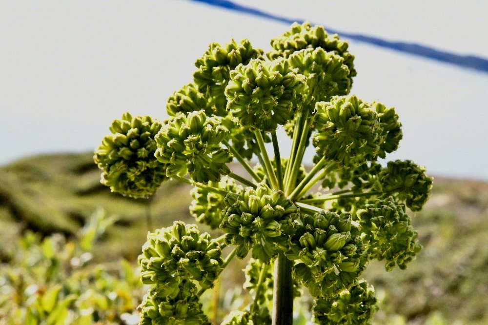 Photograph by karl geisler