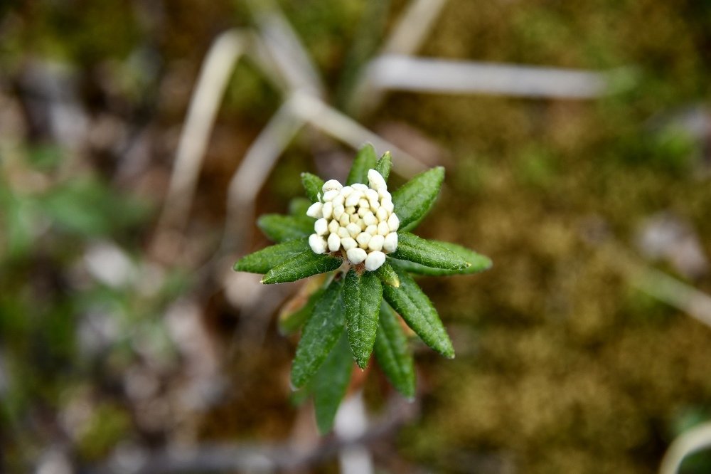 Photograph by karl geisler