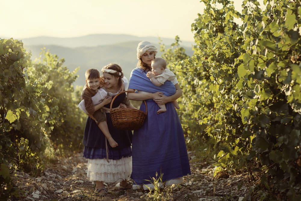 Сбор урожая