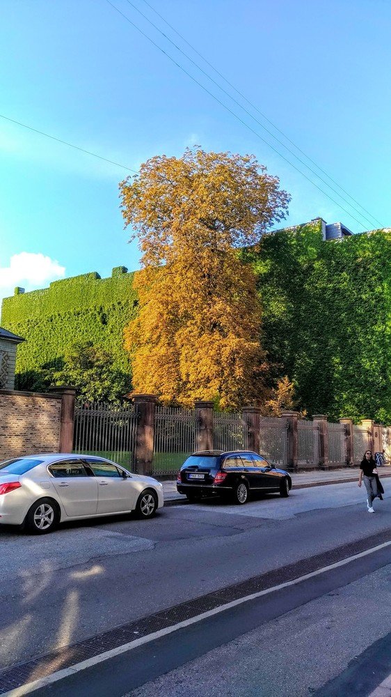 Photograph by Székelyhidi Marina