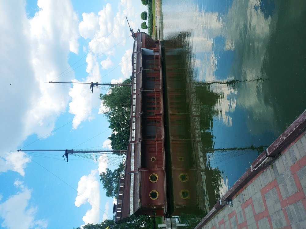 Photo #3605989