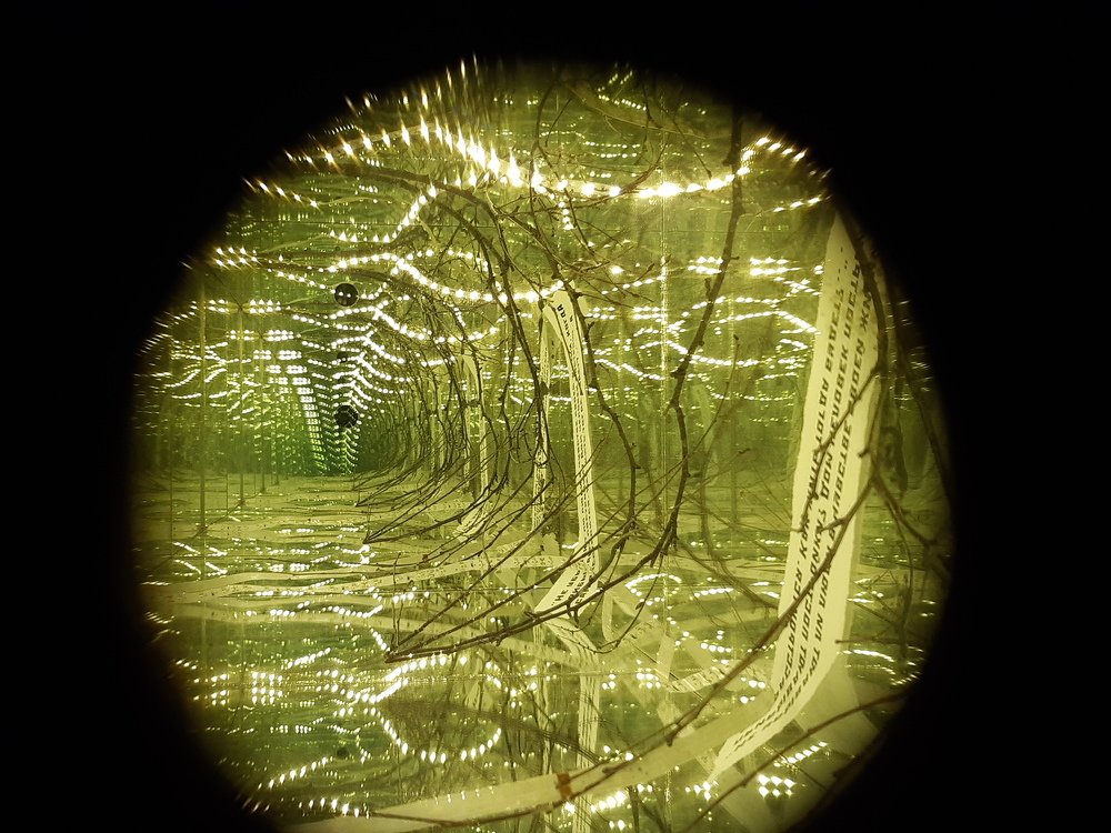 Photograph by Галина Турышева